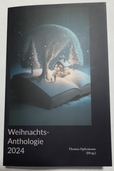 Buchcover der Weihnachtsanthologie 2024 mit schneebedeckter Winterlandschaft.